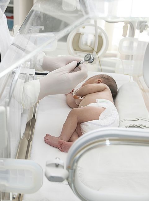 Little Fern NICU